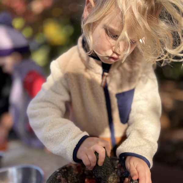 Amazing Life Games Preschool